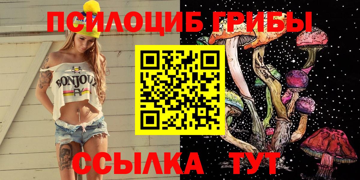 Волоколамск  Псилоцибиновые грибы Psilocybine cubensis  Вход с VPN 