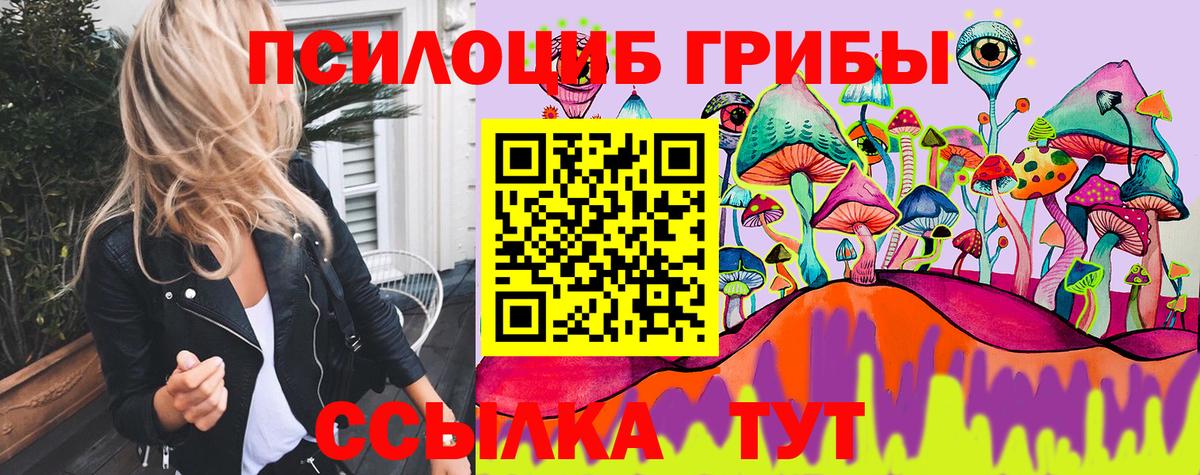 Галлюциногенные грибы Cubensis Волоколамск